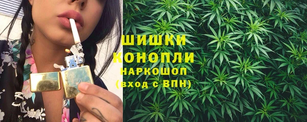хмурый Аркадак