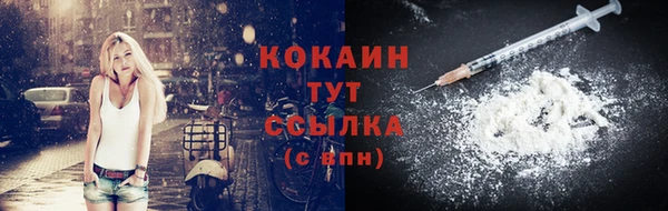 МДПВ Саяногорск